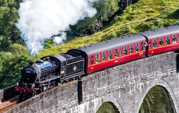 Hogwarts Express operator scrambles to survive crackdown on traditional carriages