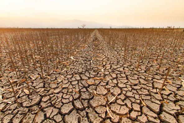 Droughts May Last Up to 10 Days Longer Than Predicted by 2100