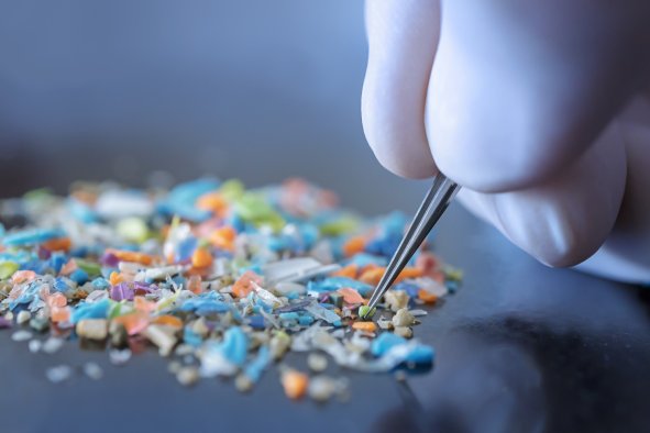 'Widespread Harm' Warning as Microplastic Pollution May Double by 2040