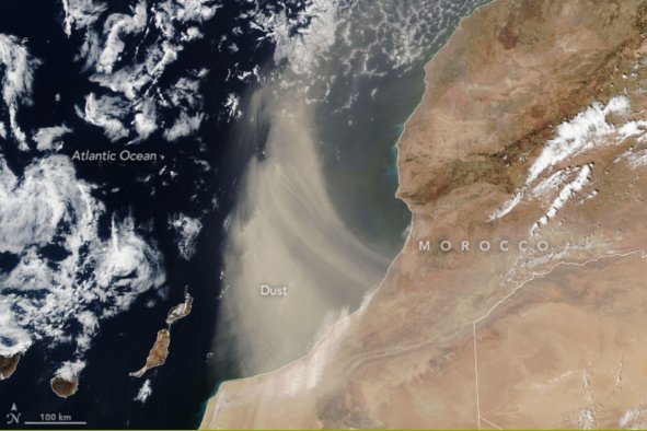 Saharan Dust Blown Towards the US East Coast is Better for Ocean Life