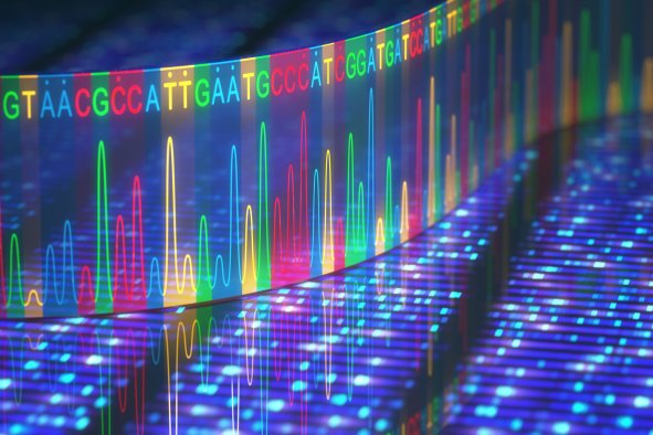 Ancient DNA Unveils 10,000 Years of Human History in Southern Africa