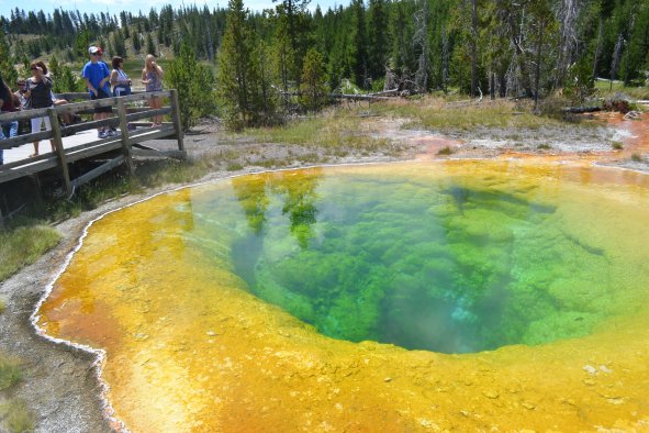 Yellowstone Tourists Blamed for Ruining 'Morning Glory' Thermal Pool