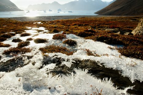 Thawing Permafrost Poised To Fuel Surge in Canadian Wildfires