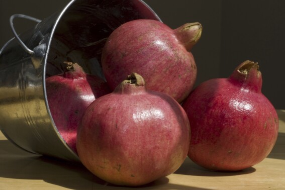 Pomegranate seeds add flair and tradition to a Rosh Hashanah salad