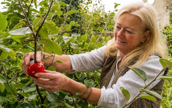 How to propagate plants and fill your garden free of charge