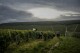 Climate change and harsh weather in France bring challenges to Chablis wine country