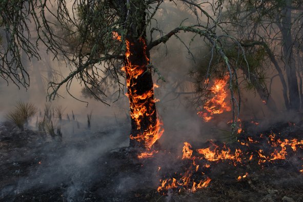 Don't Drive on Grass: Critical Fire Warning in Place Across Midwest