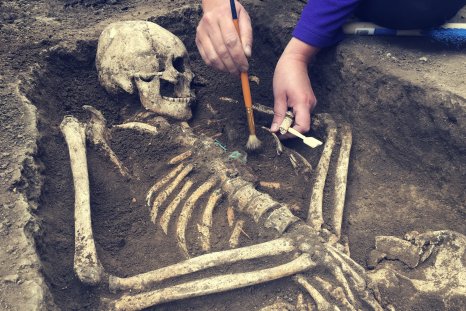 Accidental Basement Find Reveals Dozens of Centuries-Old Skeletons