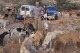 A man in south Lebanon cares for pets left behind as residents flee Israeli strikes