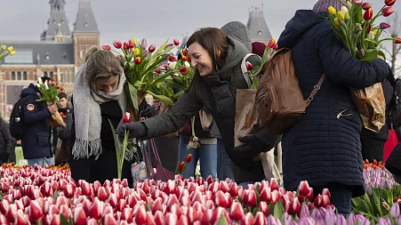 Where have all the flowers gone? UK border controls stem supplies