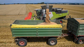 German farmers struggling against Ukrainian grain – Bild