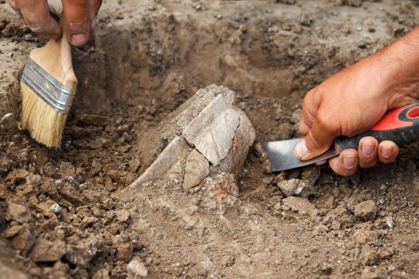 5000-Year-Old Stone Age Discovery Is 'One-of-a-Kind'