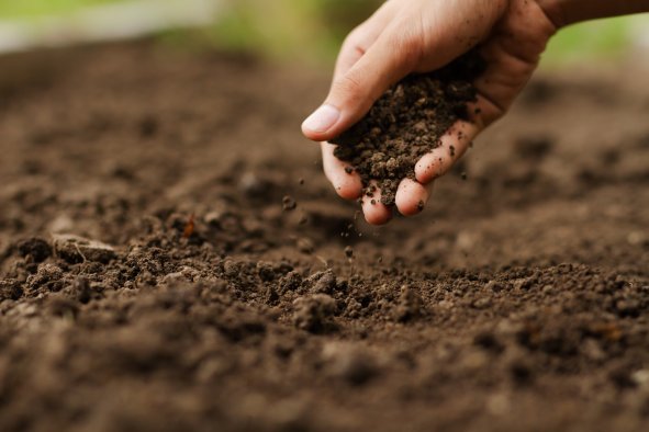 Soils 'Are Naked, Hungry and Have a Fever,' Says Farmer