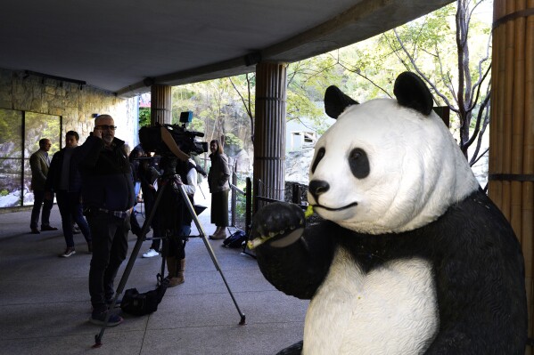 The pandas have landed! Here’s what you need to know