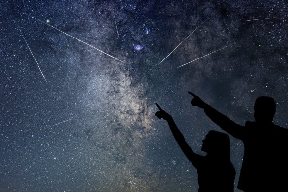 When Is the Next Meteor Shower After the Orionids?