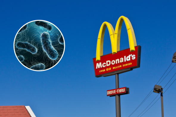 E. Coli Explained Following Fatal McDonald's Outbreak