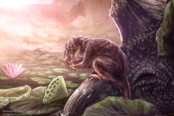 Swamp-Dwelling Creature From Age of Dinosaurs Discovered in Colorado