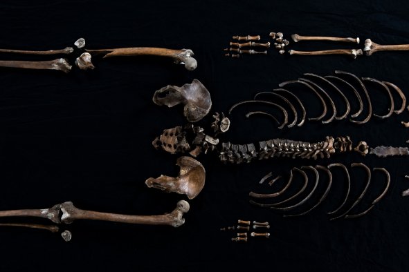 Skeleton Found in Castle Well Corroborates 800-Year-Old Medieval Saga