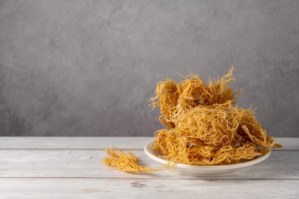 Could Sea Moss Be the Next Superfood?