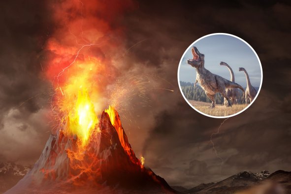 Dinosaur Rise to Power Hypothesis Challenged