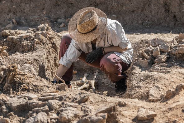 Ancient Roman Forum Discovered, Confirming 200-Year-Old Prediction