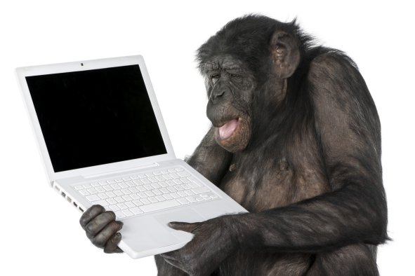 Mathematicians Discover Infinite Monkey Theorem is 'Misleading'