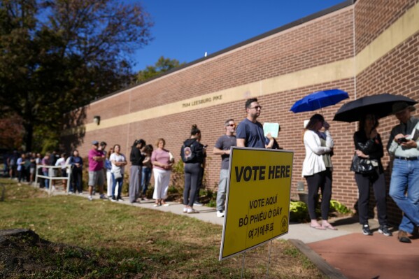 Virginia citizens make plans to vote after finding they’ve been wrongly purged from rolls