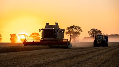 Food prices could rise due to Rachel Reeves's farm inheritance tax change in budget, farmers warn