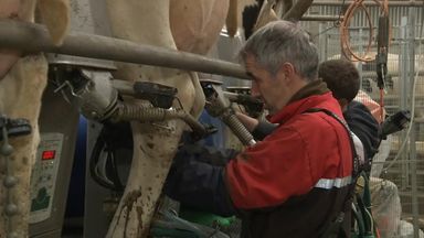 Most farmers unaffected by budget tax changes, experts say, despite fears of many