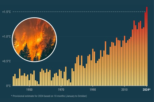 'Earth's Ablaze': 2024 Virtually Certain to Break Temperature Record